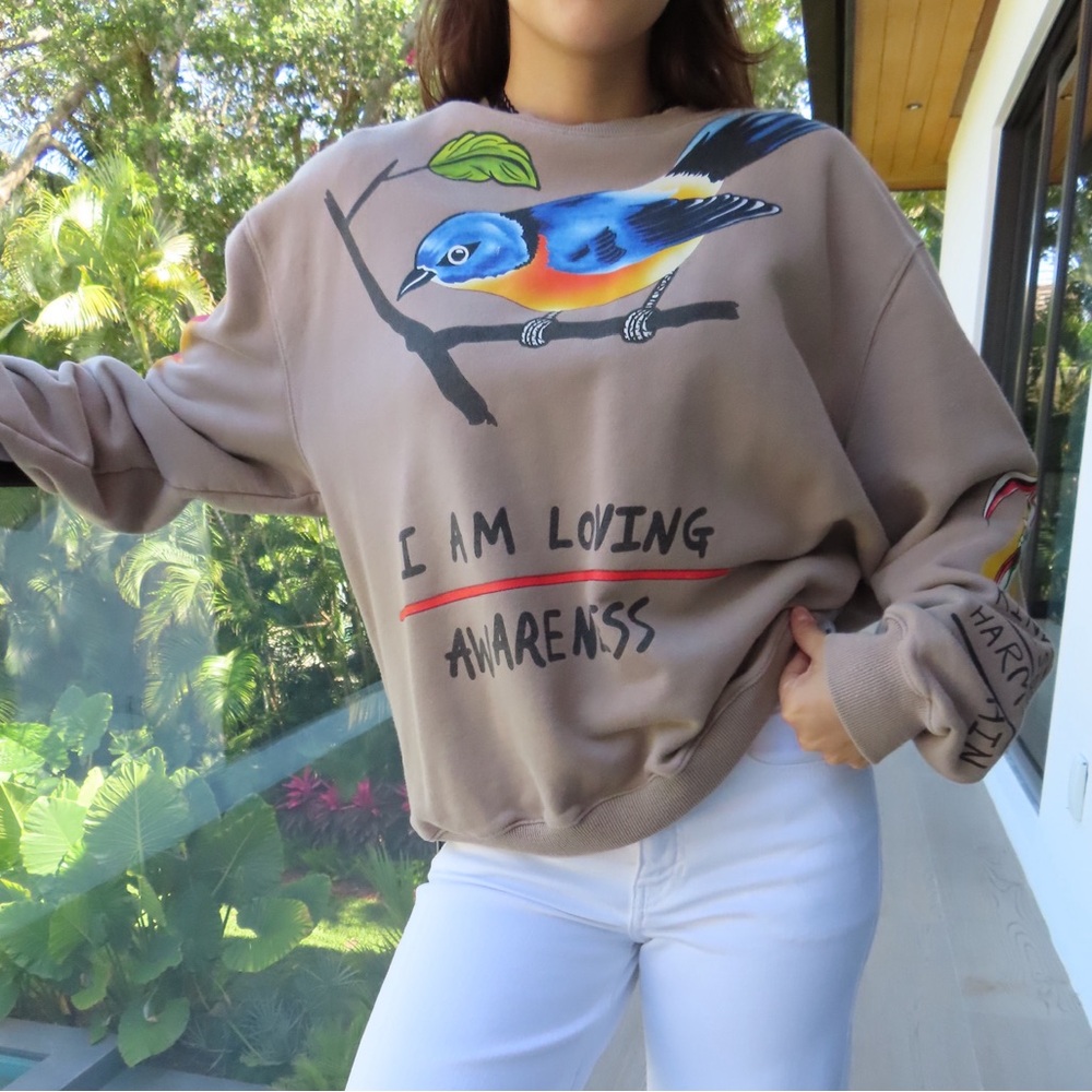 Brown Sweatshirt with Bird Graphic